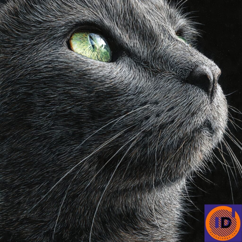 funny grey cat names