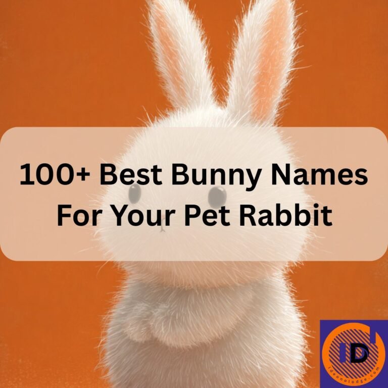 Bunny Names