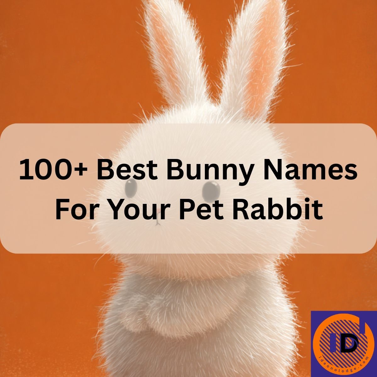 Bunny Names