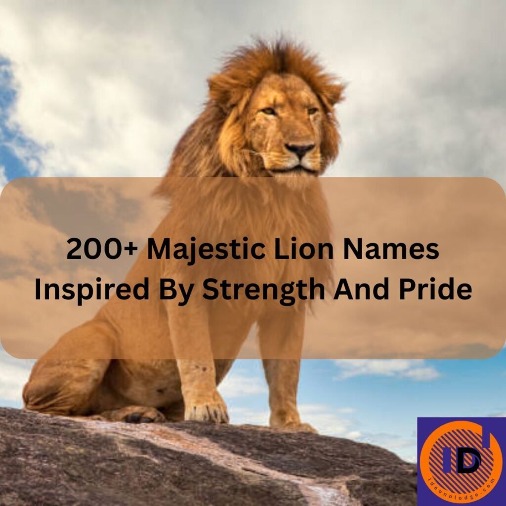 200 Majestic Lion Names Inspired By Strength And Pride 200 Majestic Lion Names Inspired By Strength And Pride