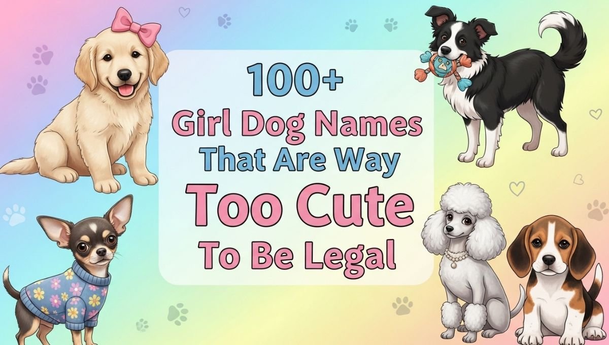 Girl Dog Names