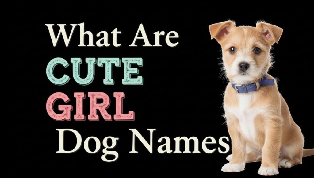 What Are Cute Girl Dog Names